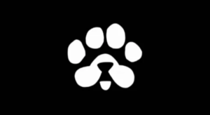 PAWS Listing Date Update: Claim Your $PAWS Before March 15 Deadline!